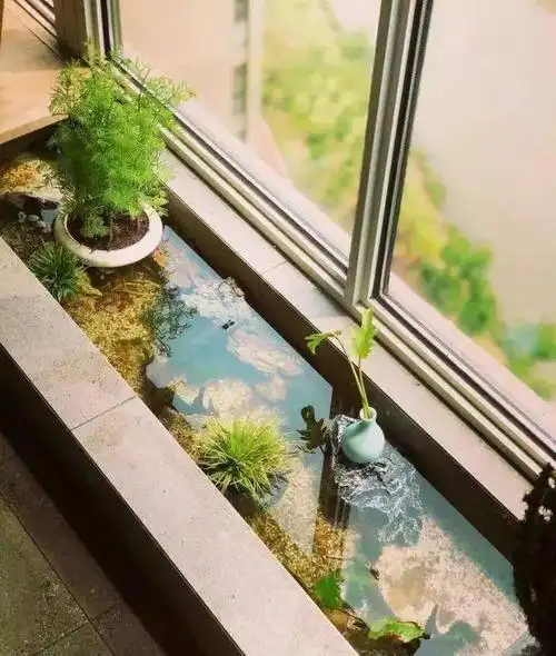 老公不顾反对在阳台做鱼池完工后我懵了邻居参观都眼红