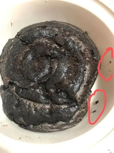 慎入我妈说这是一滩牛屎家人们你们说这是吗