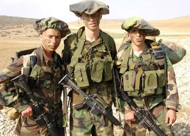 这种蘑菇形状盔罩被以军称之为—mitznefet,众所周知,以色列国防军?