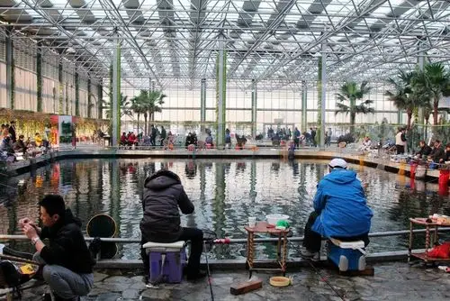 冬天室内钓鱼的好地方,这里的罗非鱼28块钱一斤