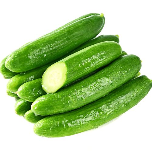 新鲜水果小黄瓜6斤整箱当季荷兰小青瓜时令蔬菜山东旱生吃10包邮5