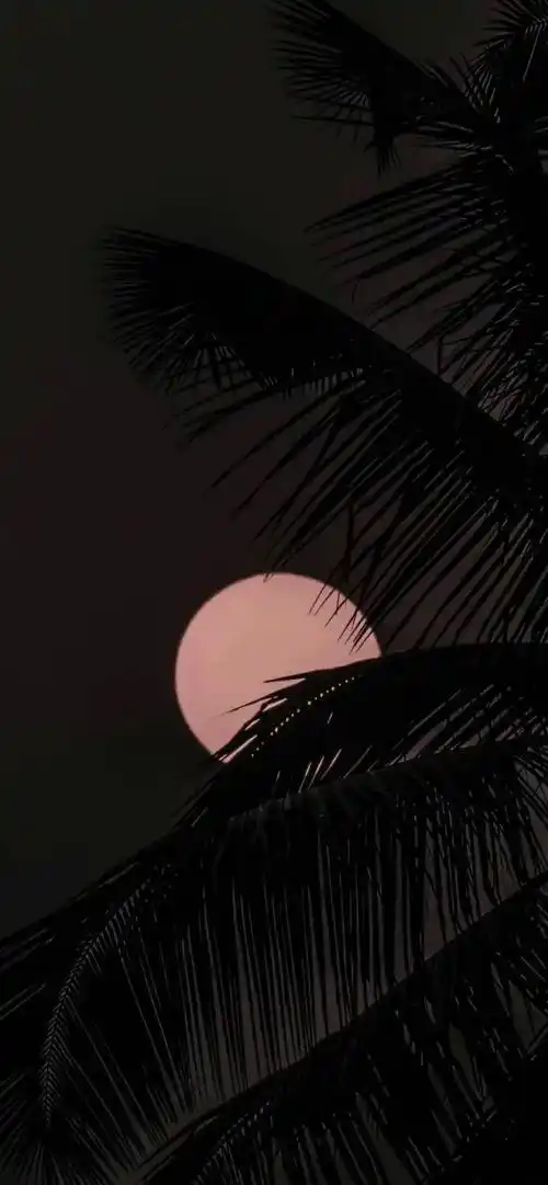 黑色系壁纸 | 高级感简约锁屏壁纸