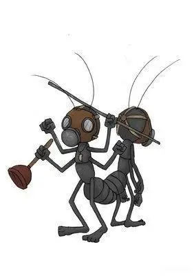 打不死的"小强",这样做让他"断子绝孙"