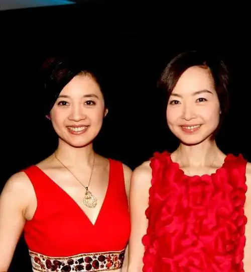 许戈辉:巅峰时离开央视,嫁二婚富商丁健,与丈夫前妻亲如姐妹