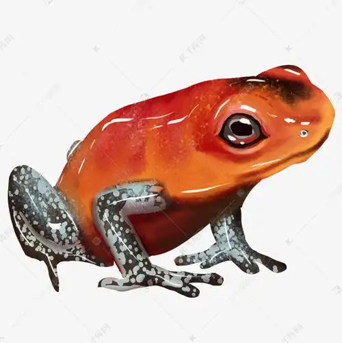 红色青蛙卡通插画