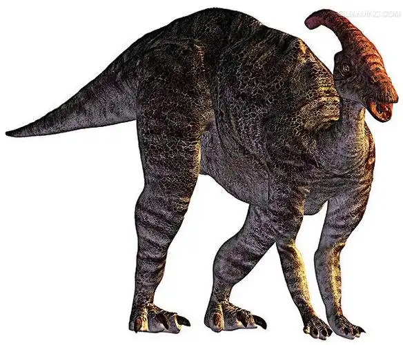 p>副栉龙(属名: i>parasaurolophus /i>),又名副龙栉龙,似栉龙,拟栉
