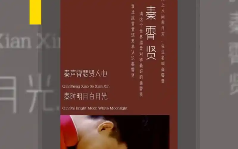 我未必万丈光芒但却始终有光秦氏白月光