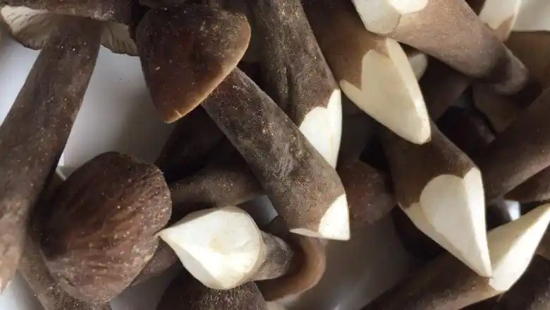 老鸡清洗干净,切去部分皮,用开水烫一下盐适量红枣几个姜片2片鸡纵菌