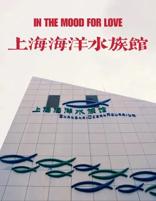 上海海洋水族馆|探索神秘的海底世界