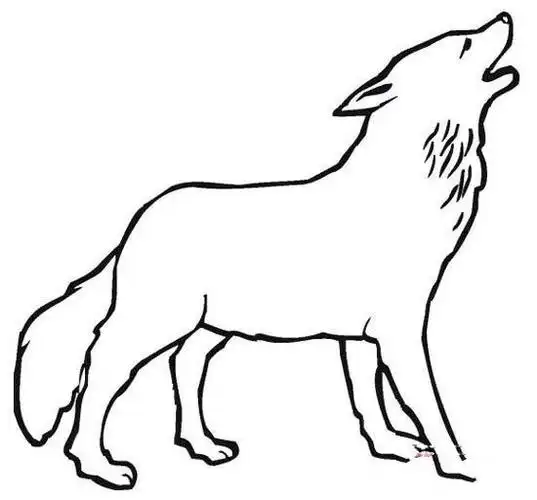 霸气的狼简笔画图片