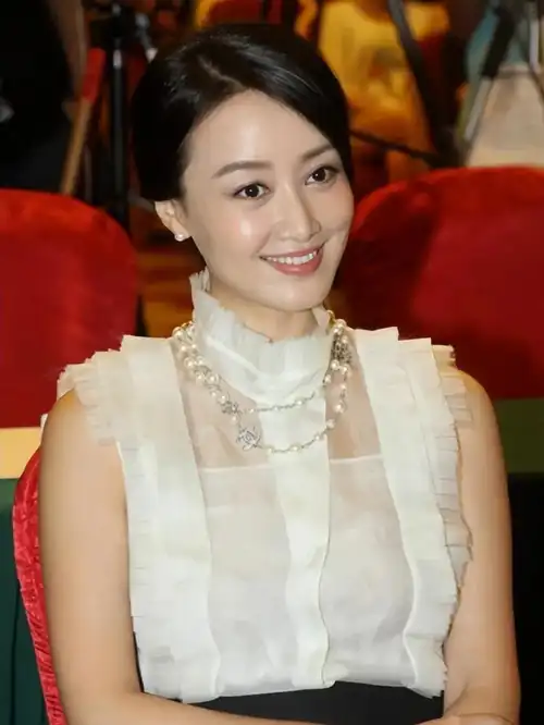 赵子琪:因感情别央视?