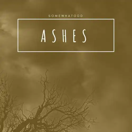ashes_somewhatodd_单曲在线试听_酷我音乐