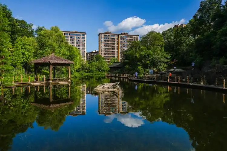 《亲水栈道》 摄于重庆市璧山区观音塘湿地公园