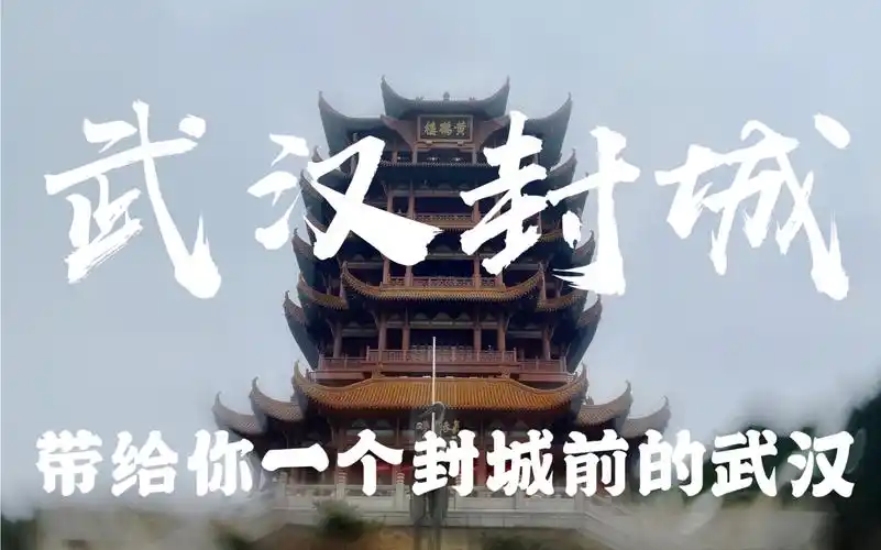 【vlog_22】带你看看封城前的武汉 全民一心 抗击病毒