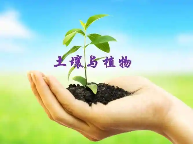 《土壤与植物》课件1.ppt_第1页