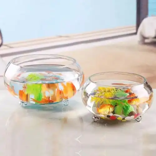 水缸养鱼玻璃加厚大号透明带爪金鱼缸乌龟缸办公室客厅桌面绿萝缸25圆