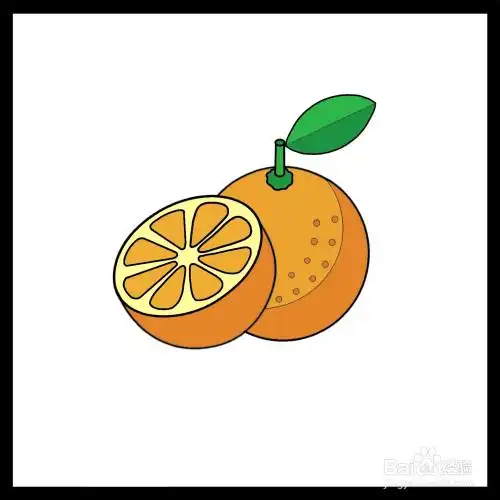 怎么画橙子简笔画(儿童简笔画)