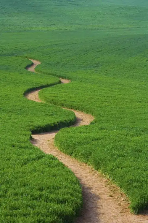 交通,娱乐,草,绿色,阳光,自然,享受,休闲,景色,放松,蜿蜒,乡间小路