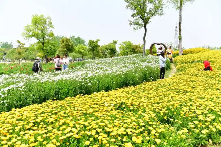 无锡洛社尚田小镇风景(分享)