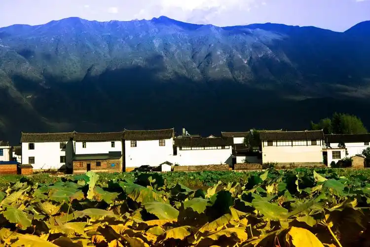 鹤庆县西邑镇响水河村电子商务公共服务点