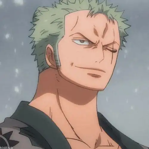 第11期动漫男头海贼王索隆