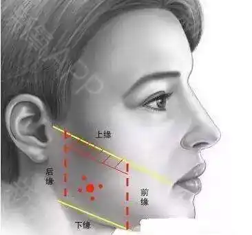 为什么你打完瘦脸针皮肤会凹陷?