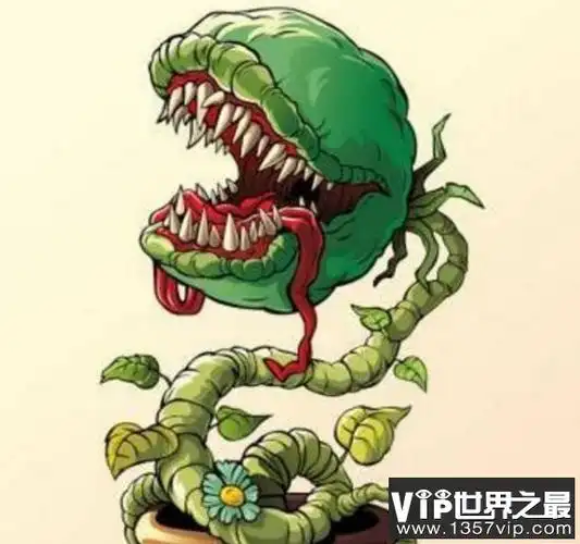 食人花真的会吃人吗,一嘴的牙齿专门吃人的植物