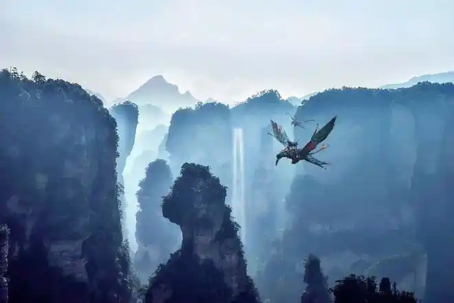 爷青回阿凡达明天重映张家界再登院线大荧幕