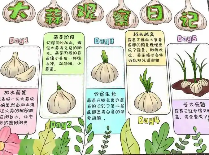 生豆芽,生蒜苗,种蘑菇,养护绿植,养小动物,发面,自制酸奶……找出自己