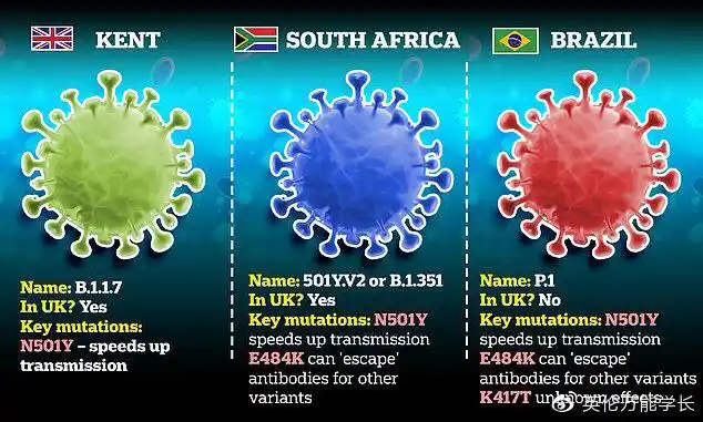 目前发现的三种变异新冠病毒   信源:mail online
