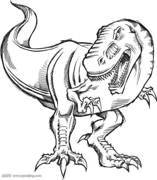 埃雷拉龙恐龙素描简笔画