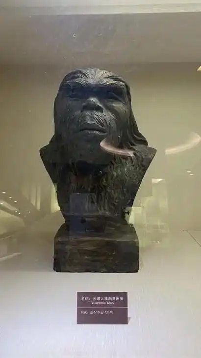 中国通史之元谋人.元谋人或元谋直立人(学名:homo ere - 抖音