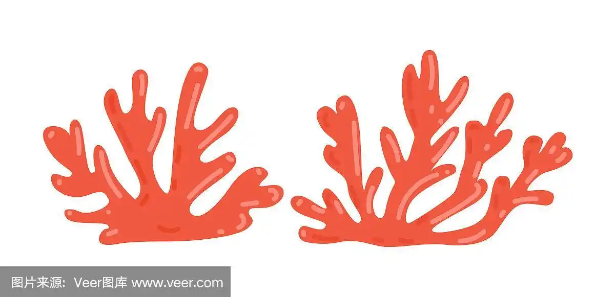 珊瑚孤立在白色背景上.美丽的海藻剪影收集.优质的质量.