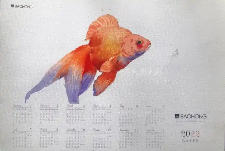 水彩年年有鱼昨晚直播步骤分享附线稿