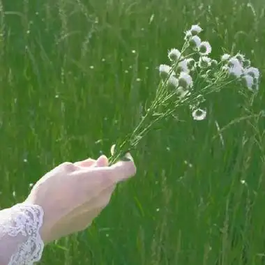 高清好看的小清新绿色女生真人头像 干净绿色系唯美意境女头合集_女生