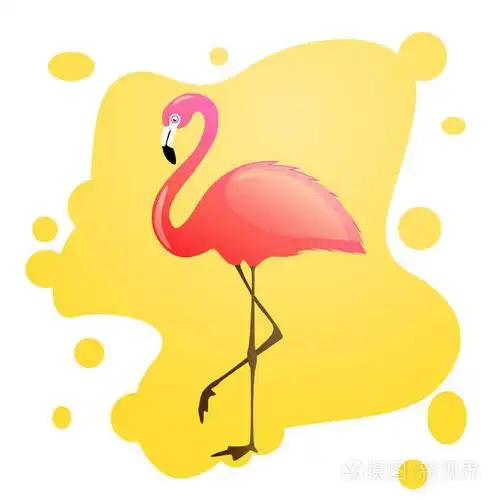 火烈鸟在黄色背景.矢量插图