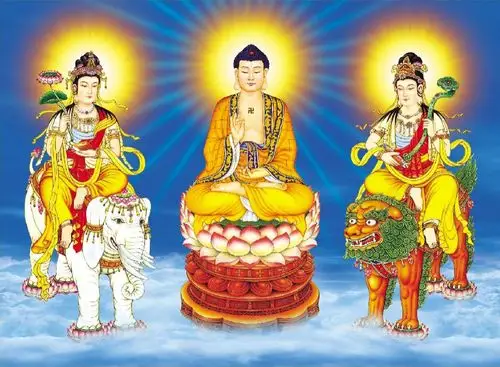 引用华严三圣图片