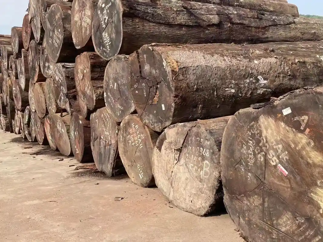 进口木材:紫心木,别称紫罗兰