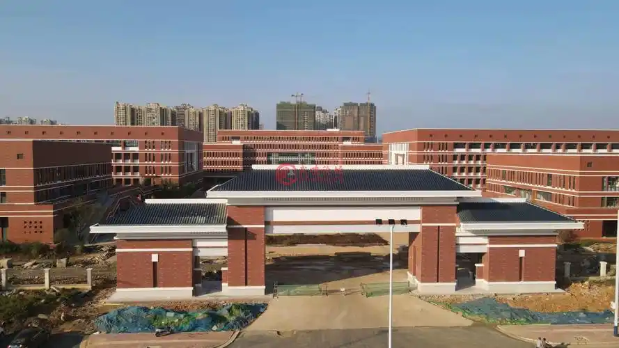 武鸣高中定罗湖校区和大学差不多大