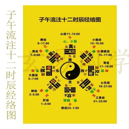 十二时辰经络运行图子午流注图