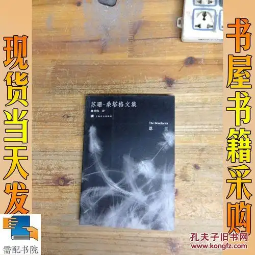 苏珊·桑塔格文集:恩主