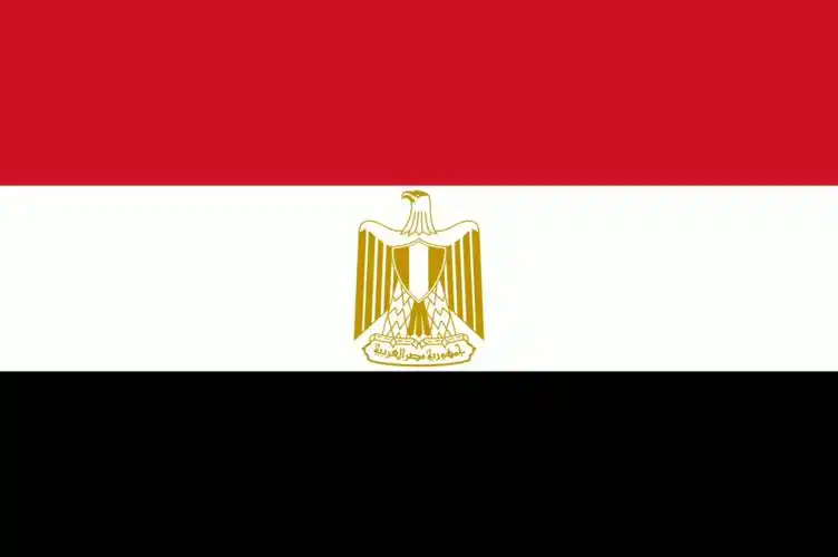 阿拉伯进步共和联盟各国旗