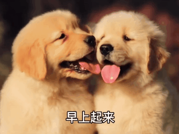 超多人求的表情包快来收图