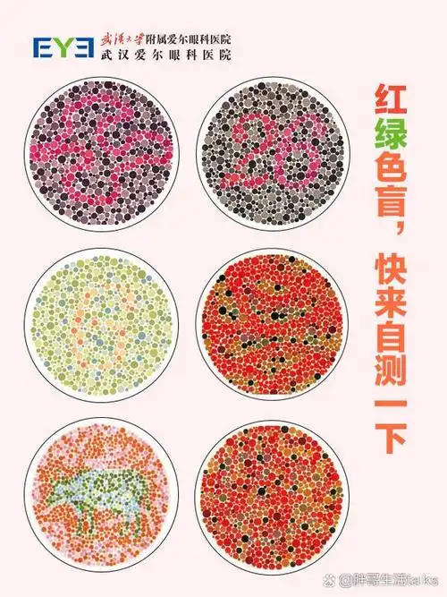 红绿色盲自测,完蛋了,最后一张图读不出来