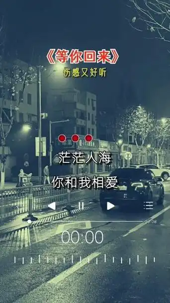 伤感歌曲 #听哭了自己0101