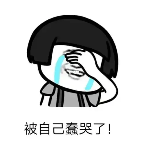 第一次感觉自己有点蠢01