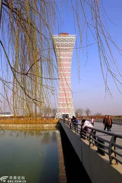 春染双照湖-咸阳论坛-华商论坛
