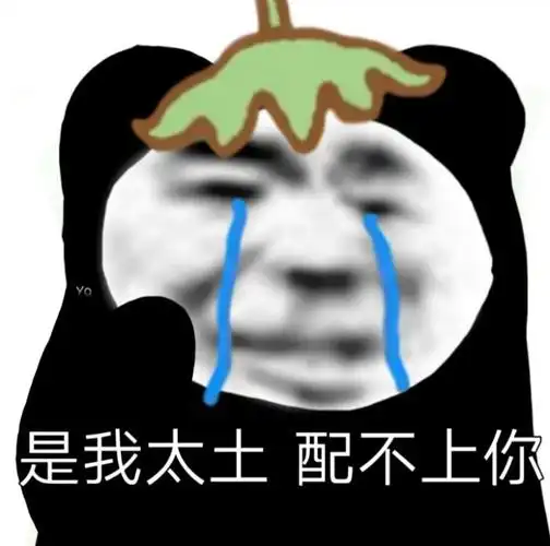 是我太土 配不上你-表情图片 - 壁纸家