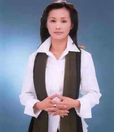 凤凰卫视记者陈淑琬