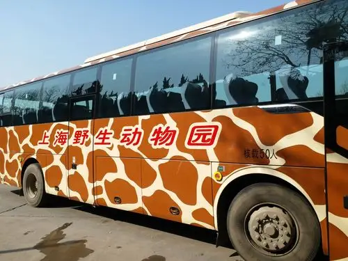 欢乐上海行之野生动物园